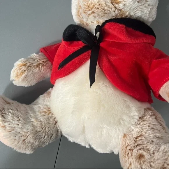 3/25$(Mix) Peter Rabbit With Red Jacket 16” - Picture 9 of 11